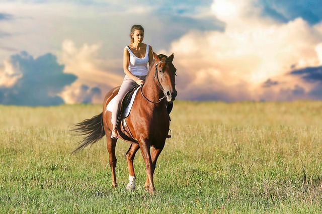 Dopřejte svému koni zasloužený komfort