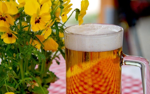 Máte rádi pivo?